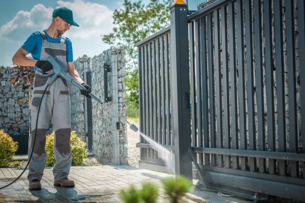 Best Rust Removal  in Trinity, FL