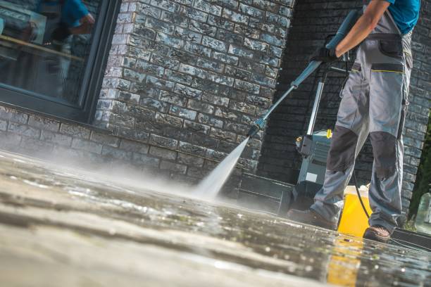 Best Driveway Pressure Washing  in Trinity, FL