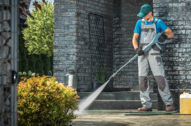 Best House Exterior Washing  in Trinity, FL