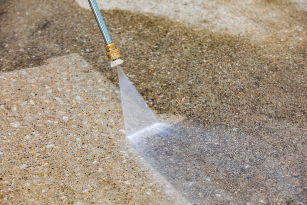 Best Soft Washing  in Trinity, FL