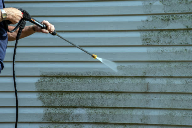 Best Gutter Cleaning  in Trinity, FL
