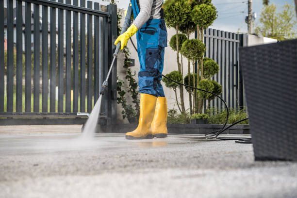 Best Fence Cleaning  in Trinity, FL