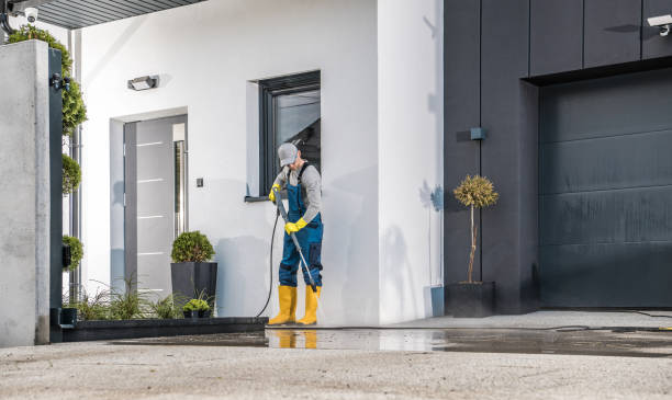 Best Historic Building Restoration  in Trinity, FL