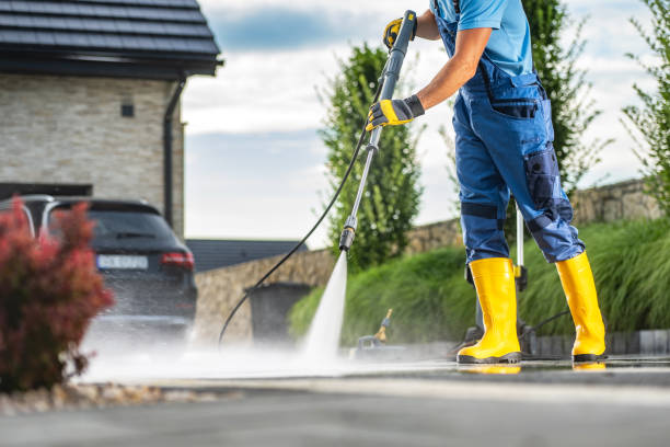 Best Solar Panel Cleaning  in Trinity, FL
